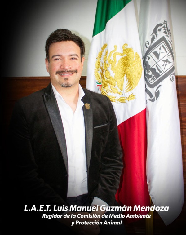 Luis Manuel Guzmán Mendoza